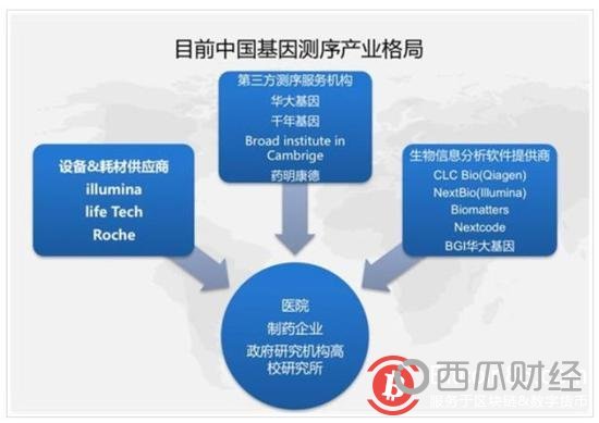 区块链如何重塑基因测序行业？