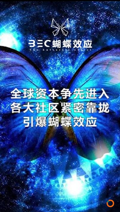 The ButterFly effect 蝴蝶效应受币圈热捧