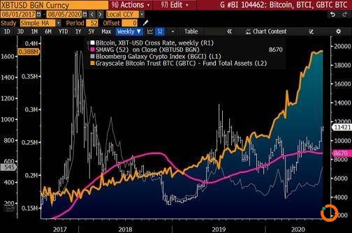 彭博社：比特币成为数字黄金，以太坊上涨因其为投机资产