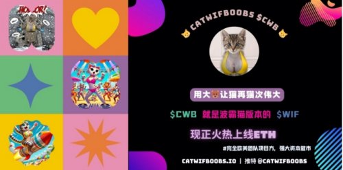 加入catwifboobs革命：让猫咪再次伟大，以一种疯狂而可爱的姿态！